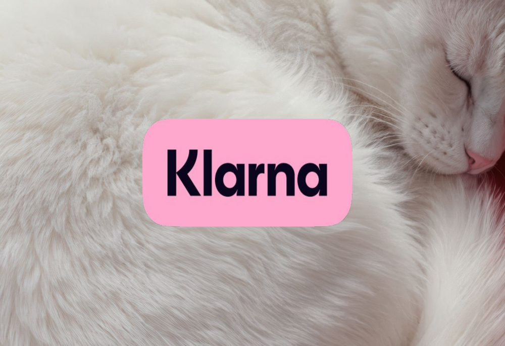 Klarna Q4 2025 slides