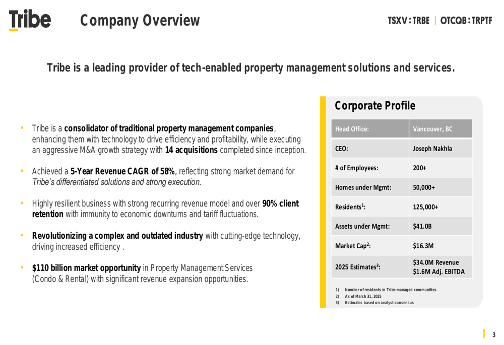 Tribe Property Technologies Q4 2024 slides: First positive EBITDA amid 65% revenue growth