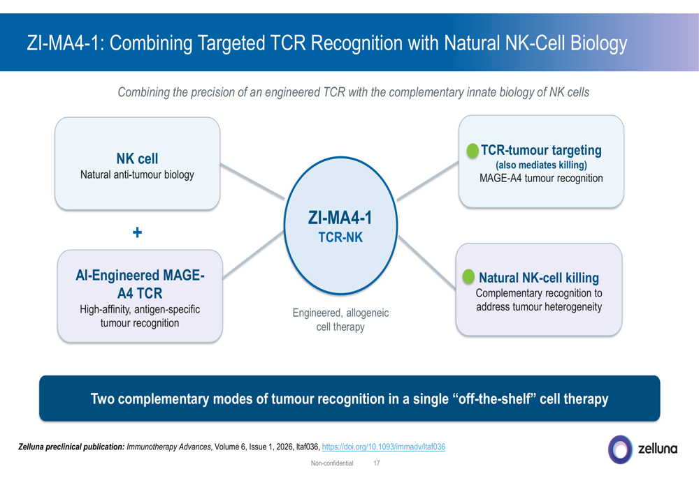 Zelluna Q2 2026 slides: first patient dosed, safety data favorable By ...