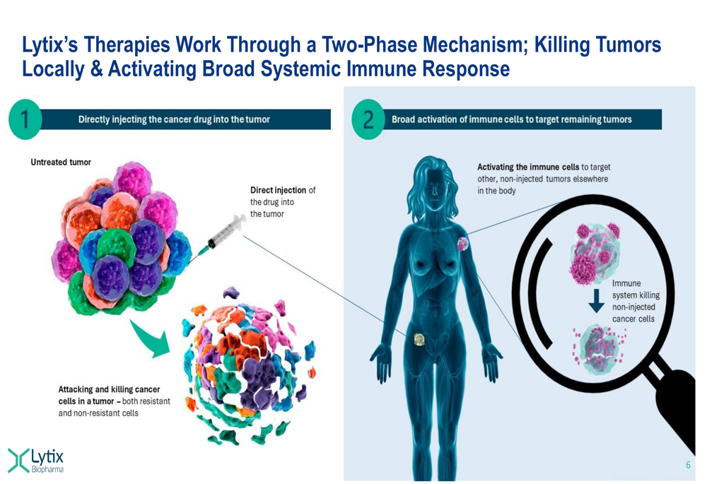 Lytix Q2 2026 slides: FDA clears Phase III path, cash runway tightens ...