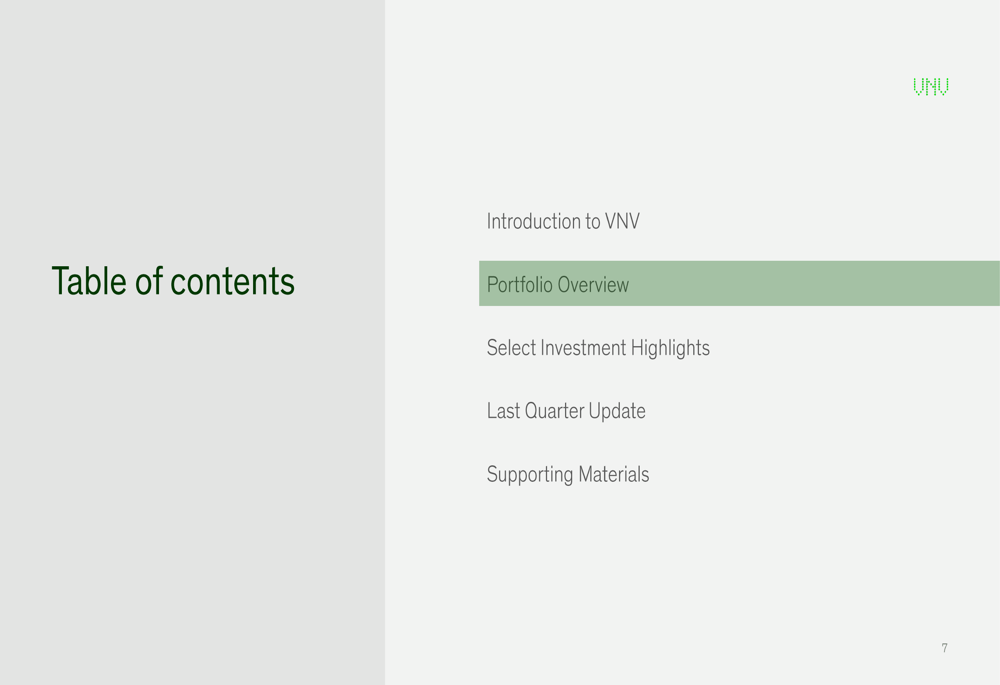 VNV Global Q1 2025 slides: Portfolio profitability surges despite NAV decline
